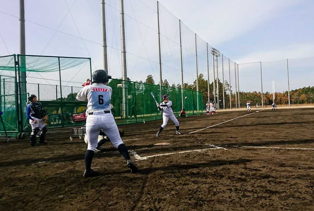 実戦形式の守備練習でノックを打つ女子野球日本代表・橘田恵監督
