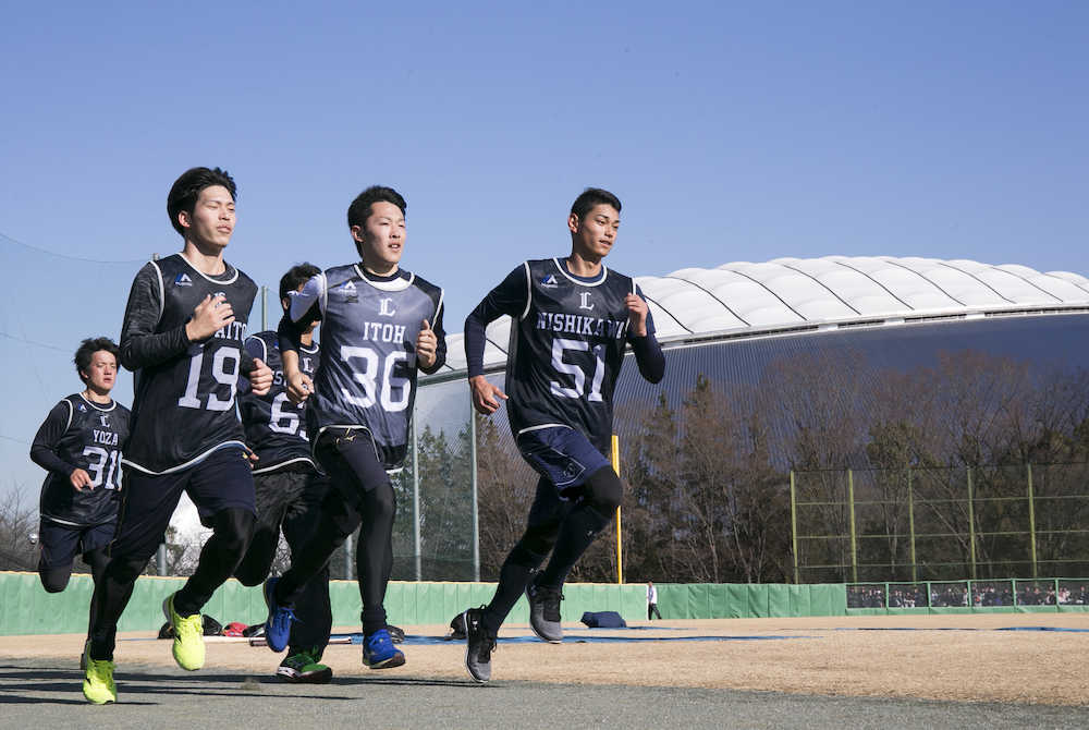 ポール間走を行う（前列左から）斉藤大、伊藤、西川らルーキーたち