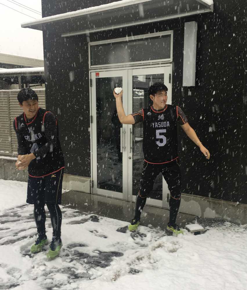 ロッテのドラフト１位・安田は半袖姿で雪遊びに興じる。左は同２位・藤岡