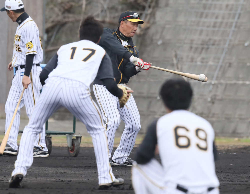 阪神宜野座キャンプ　金本監督は岩貞（左）、島本（右）ら投手陣にノックを見舞う