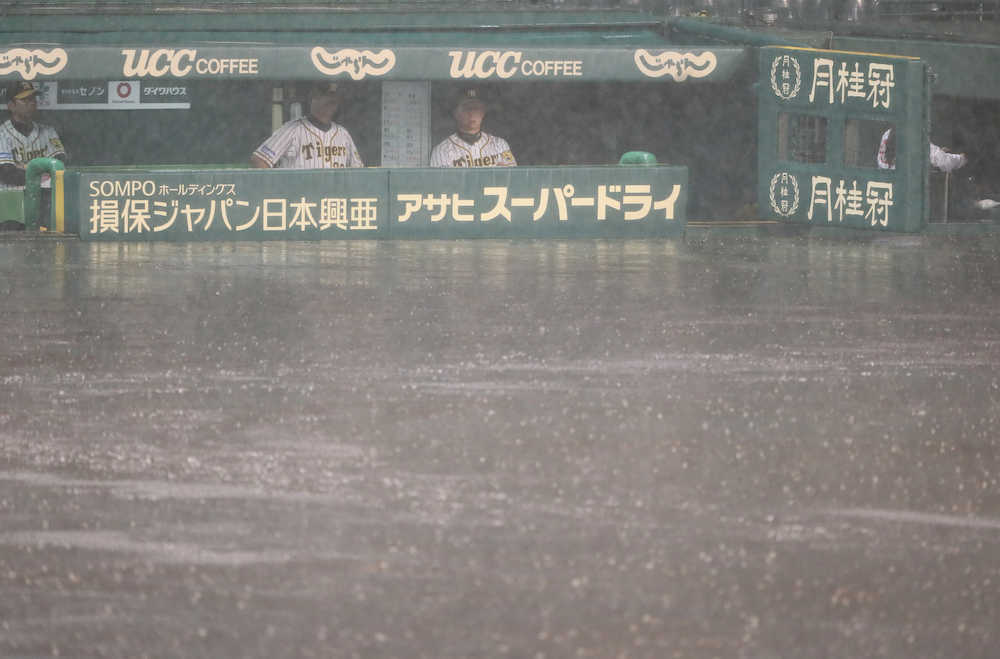 ＜神・Ｄ＞３回途中、金本監督（右）ら阪神ナインは３度目の中断になりベンチで試合再開を待つ（撮影・岩崎　哲也）