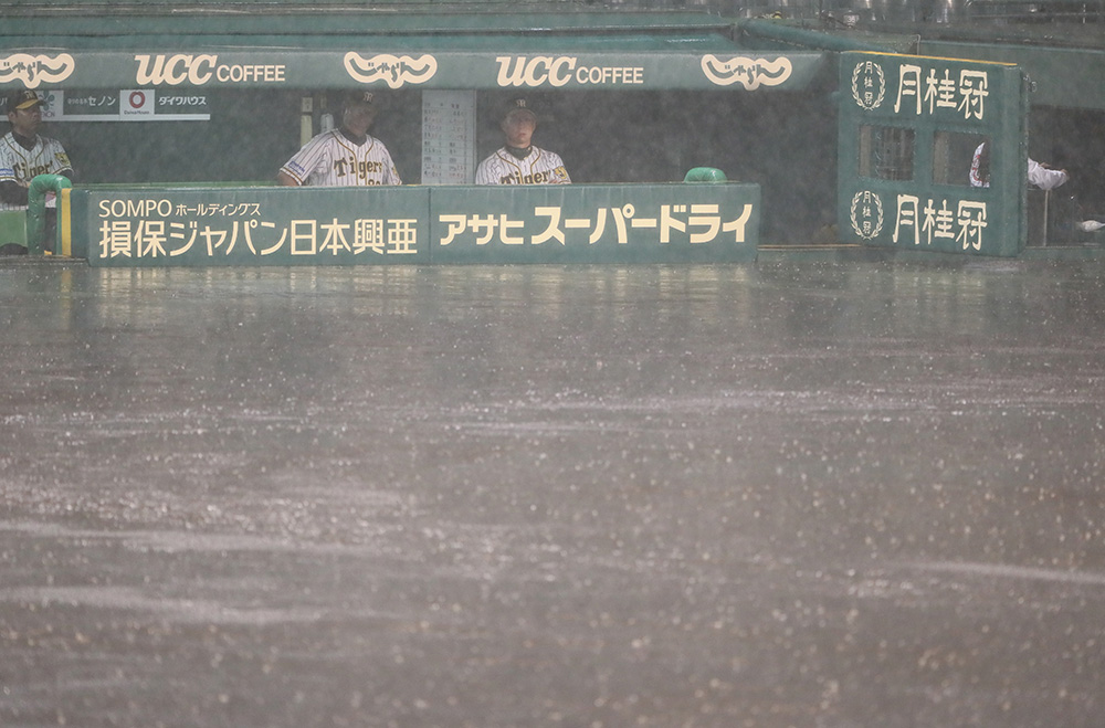 ８月３１日の阪神―ＤｅＮＡ戦の３回、３度目の中断となり、ベンチで試合再開を待つ阪神の金本監督（右）ら