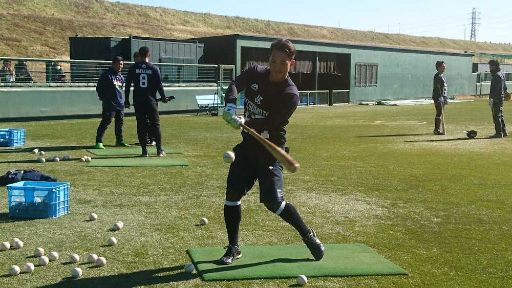 【画像・写真】ヤクルト育成２位・松本　逆風何の！フリー打撃で豪快３発