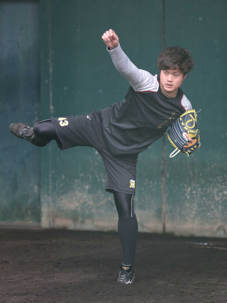 【画像・写真】「矢野チルドレン」浜地＆守屋が初の１軍キャンプスタート「アピールしたい」「やってやろうと」