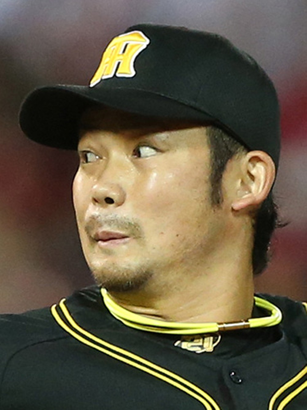 【画像・写真】阪神・岩田、サファテから刺激　米で合同練習「すごかった」