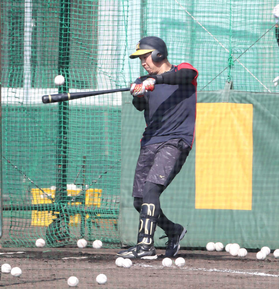 【画像・写真】阪神　大山　１０本のサク越え「残りの日でしっかり準備していきたい」