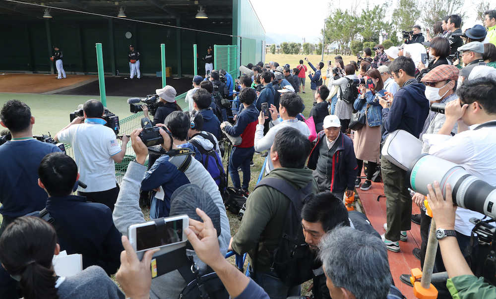 ＜日本ハム　国頭キャンプ＞ブルペンで投げる吉田輝を大勢の報道陣とファンが見つめた（撮影・西海健太郎）