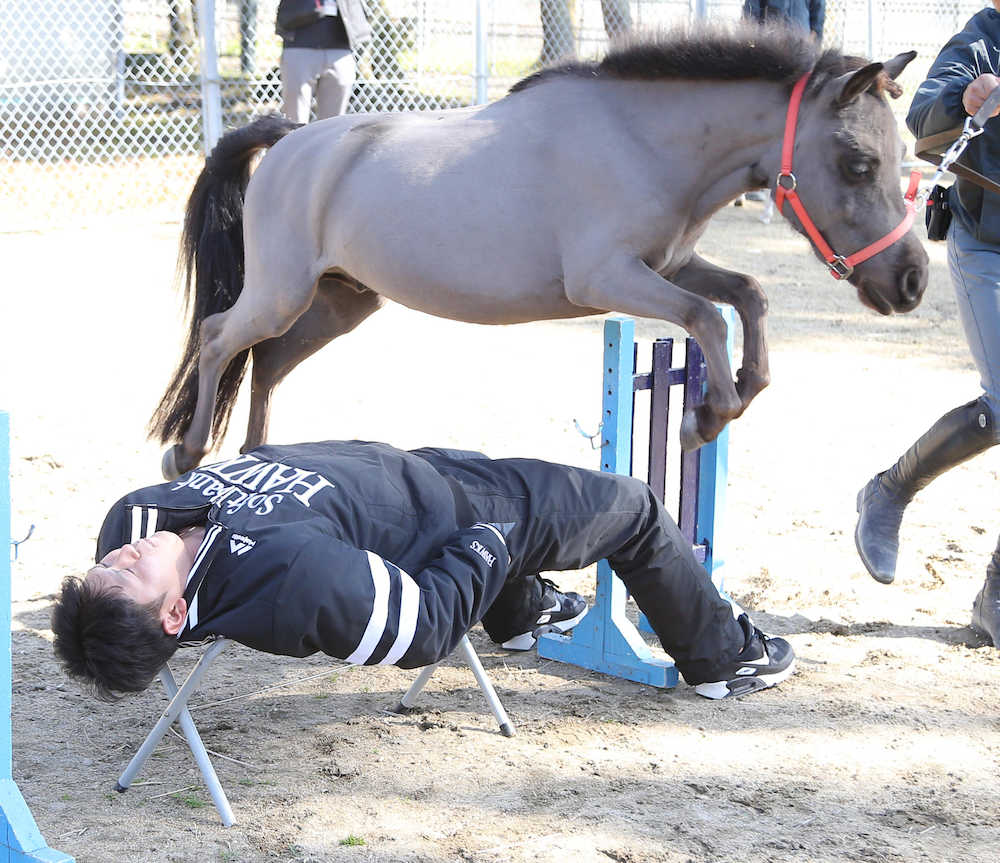 【画像・写真】ソフトＢ、ルーキー７人笑いと恐怖の乗馬体験　ドラ７奥村「怖かった」