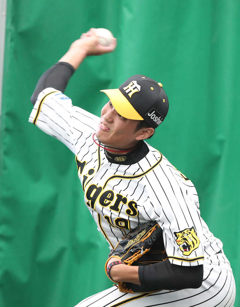 【画像・写真】阪神・藤浪（撮影・坂田　高浩）