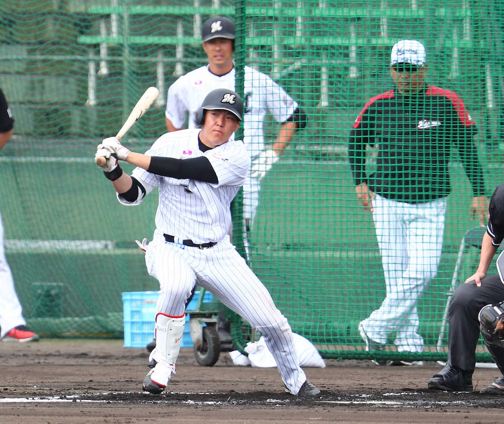 【画像・写真】ロッテ　安田　２年目の進化“コンパクト”シート打撃で２日連続適時打