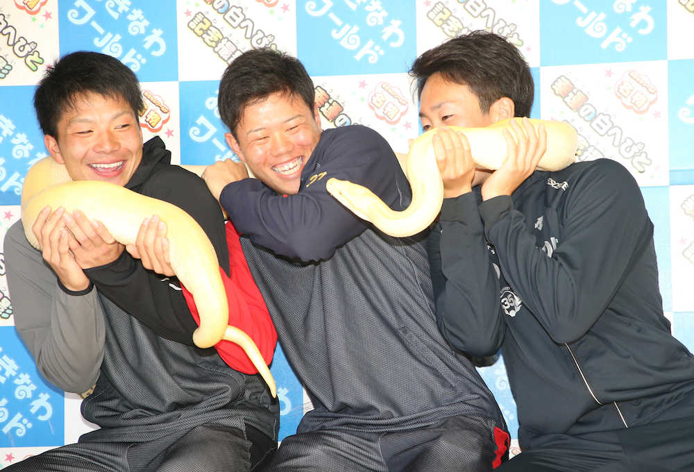 ｄｅｎａ新人３選手が白ヘビ首巻き 幸運の儀式 ドラ１上茶谷 怖かった ドラ３大貫 結構かわいい スポニチ Sponichi Annex 野球
