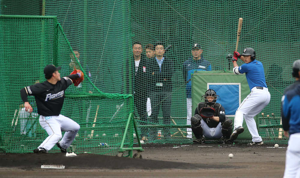 【画像・写真】輝星と対戦の日本ハム・ドラ２野村「こっちの勝ち」