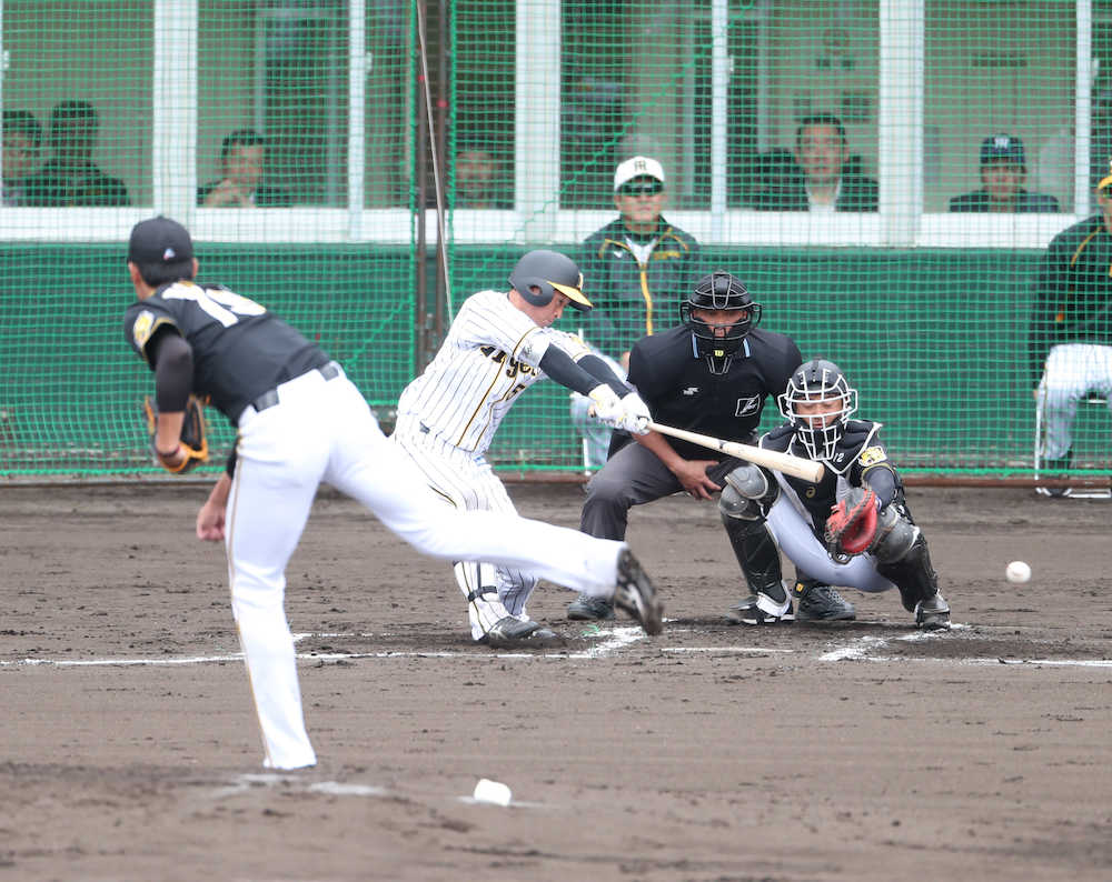 【画像・写真】阪神ドラ１近本、藤浪から快音　矢野監督も評価「非凡なものある」
