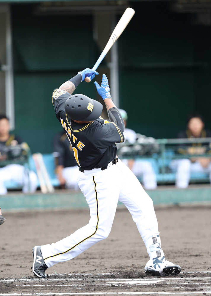 【画像・写真】阪神マルテ衝撃デビュー！初打席で初本塁打　掛布ＳＥＡもうなった