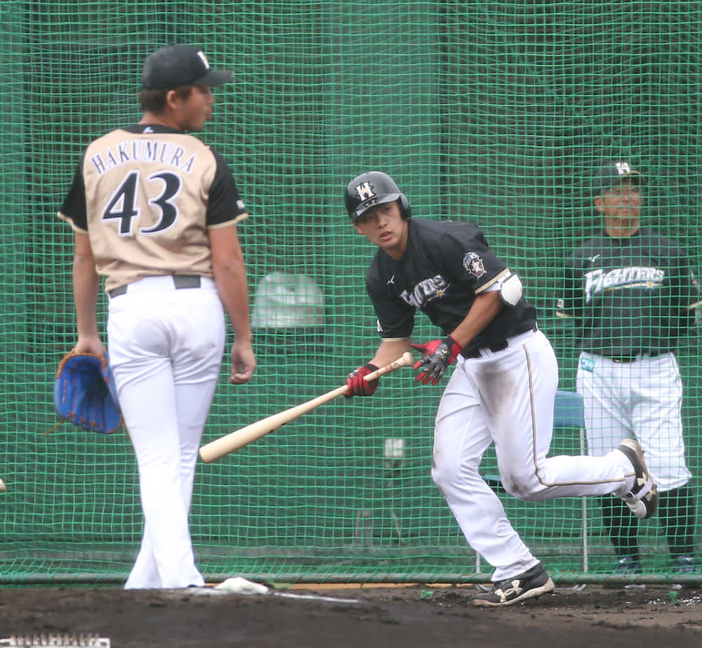 【画像・写真】日本ハムドラ２野村、シート打撃で白村から左前打！荒木２軍監督「飛ばす力すごい」
