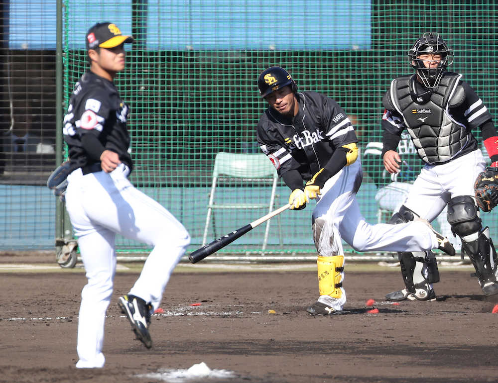 【画像・写真】松田宣　シート打撃で３安打！ドラ１甲斐野に貫禄見せた