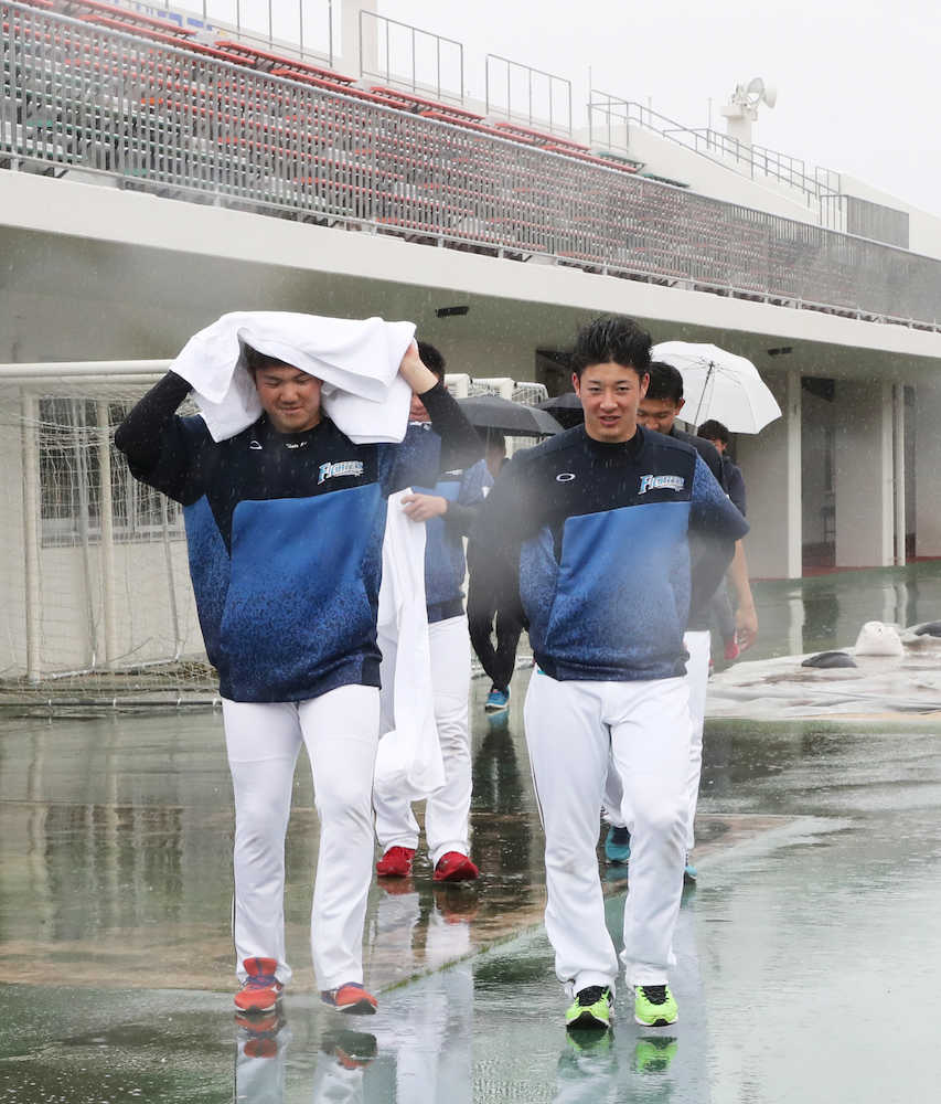 ＜日本ハム２軍キャンプ＞大雨の中、傘もささずに室内練習場へ移動する吉田輝（右）（撮影・西海健太郎）