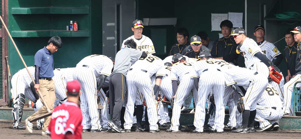 【画像・写真】阪神・矢野監督　初対外試合白星発進　ドラ１近本は３打数２安打の活躍