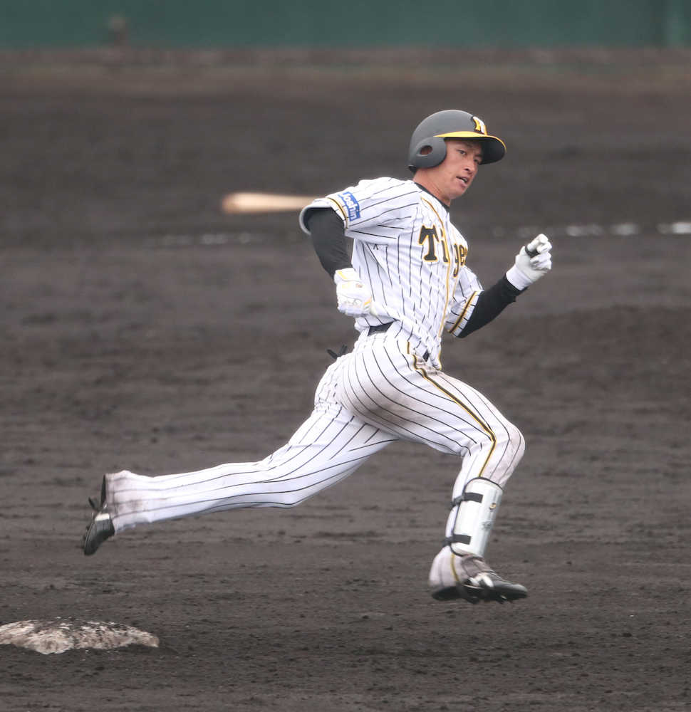 【画像・写真】阪神ドラ１近本　実戦映え　他球団警戒「即戦力だね」