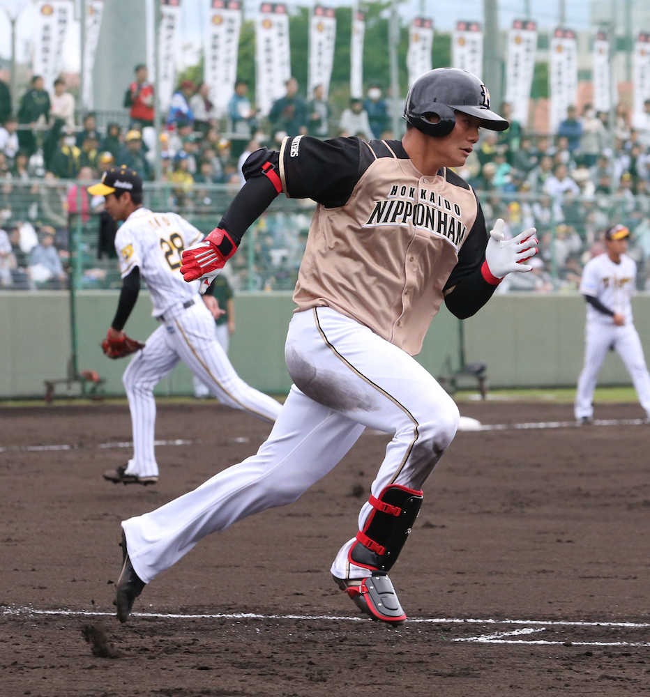 【画像・写真】日本ハム・清宮が藤浪撃ち！侍・稲葉監督の前でアピール適時打２本