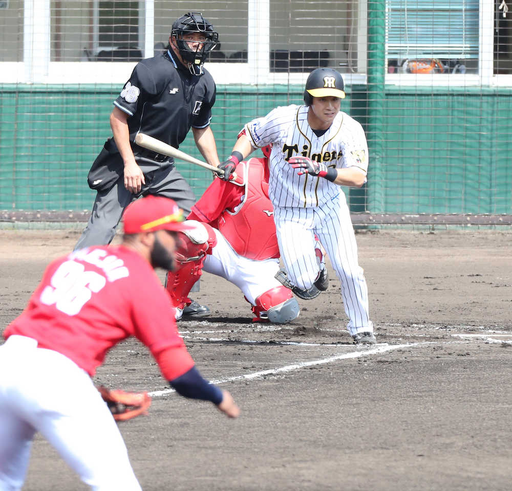 【画像・写真】阪神ドラ３木浪、５戦連続安打！亜大先輩・九里から先制２点打