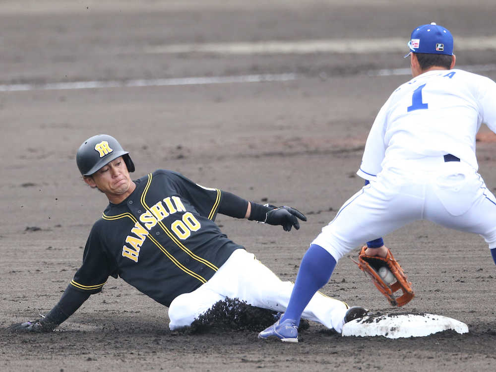 【画像・写真】阪神　上本　二盗で大けが悪夢払しょく「ホッとしています」