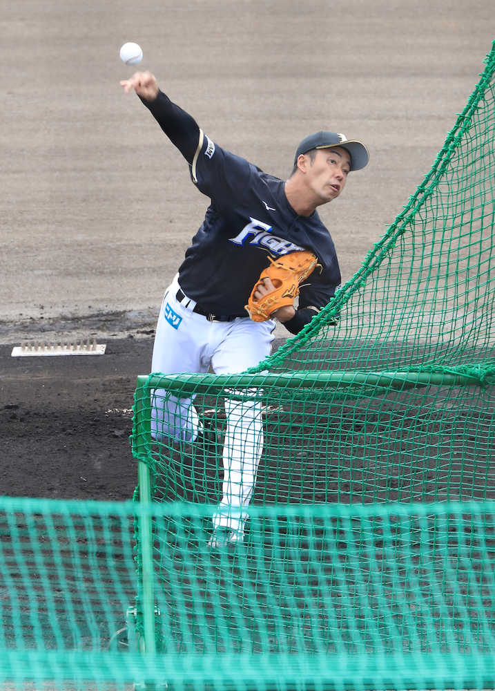 【画像・写真】ライブＢＰでも好調　斎藤佑　開幕ローテ意欲「結果にこだわって」