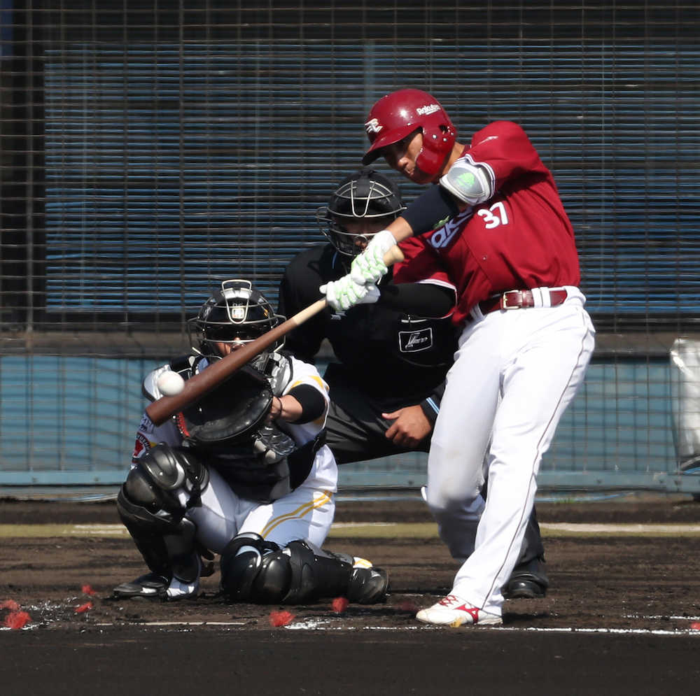 【画像・写真】楽天・嶋、今季初実戦で攻守に躍動「いい緊張感」