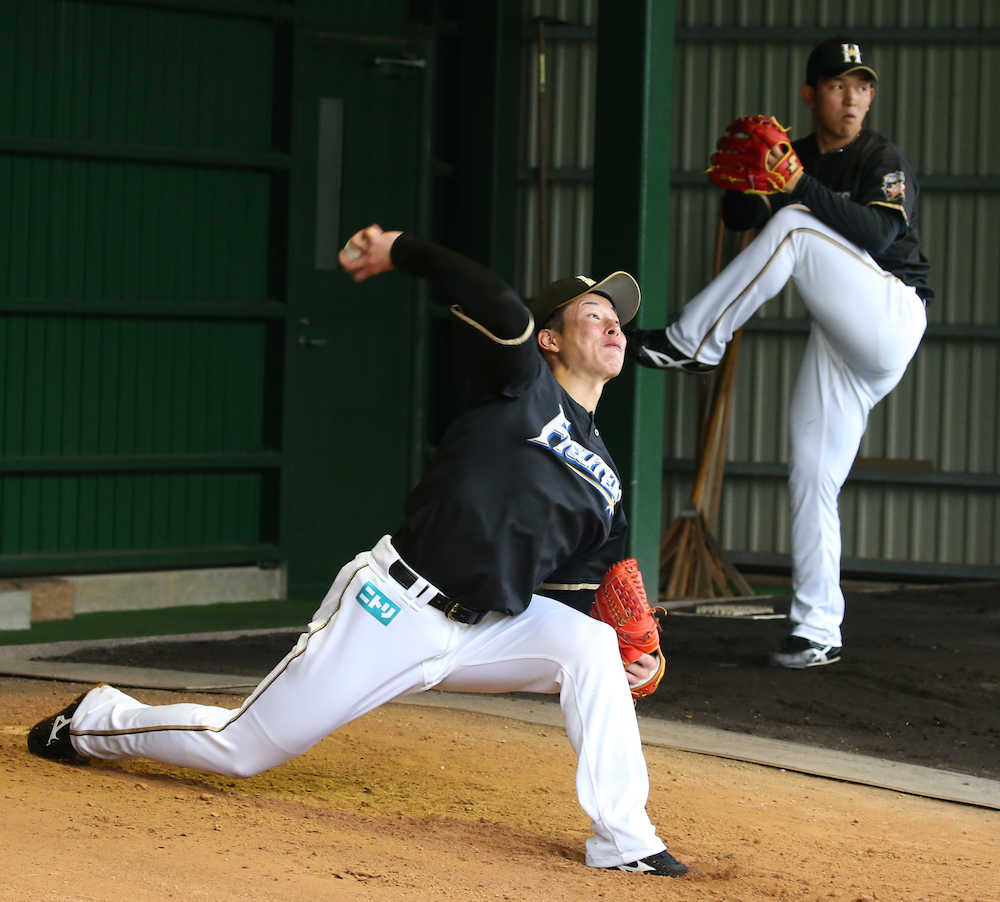 【画像・写真】吉田輝＆柿木　荒々しさを消さずに洗練を　日本ハム首脳陣の配慮