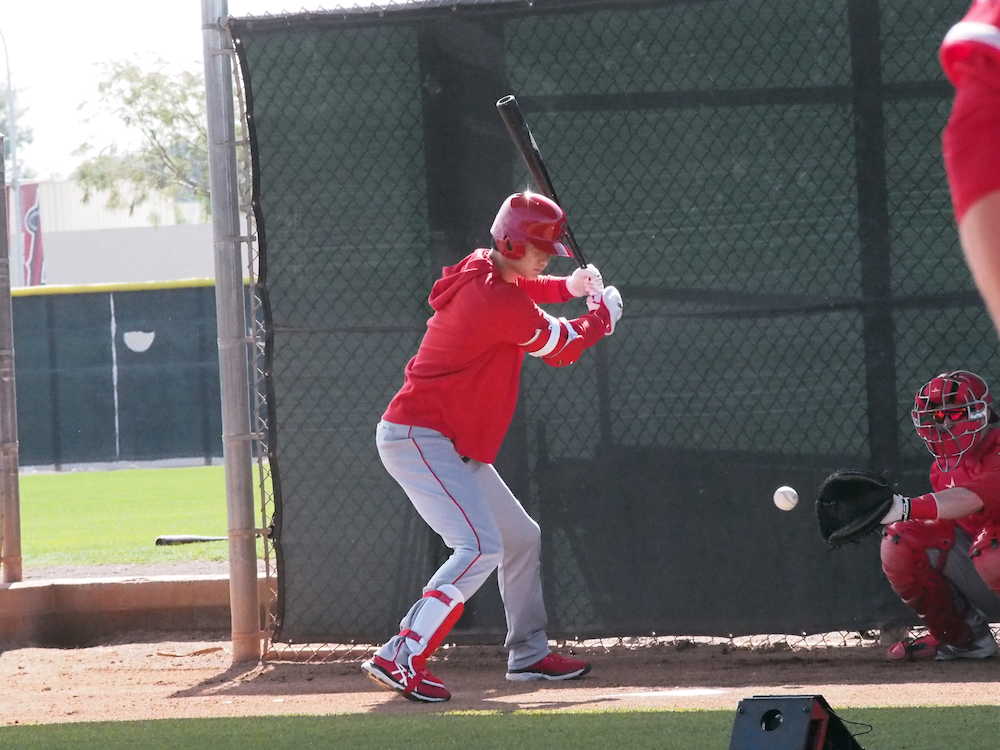 【画像・写真】大谷　２日連続ヘルメット、レガースつけブルペンへ　ティー打撃も６日連続
