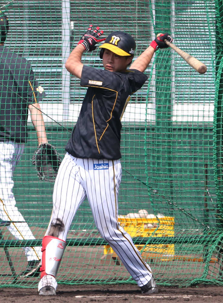 【画像・写真】阪神ドラ３木浪、目標は新人王　キャンプで躍動「まだまだ成長できる」