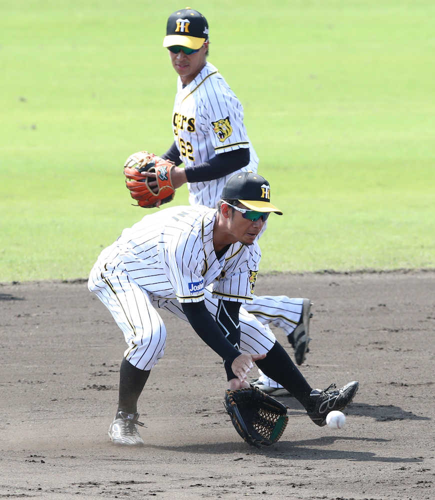 【画像・写真】阪神・鳥谷、遊撃奪還へ闘志「ここから勝負が始まる」