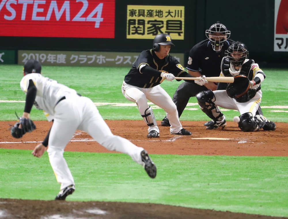 【画像・写真】「引き出し」増えた　阪神　近本　ドラ１対決を制す「揺さぶりから入ろうかなと」