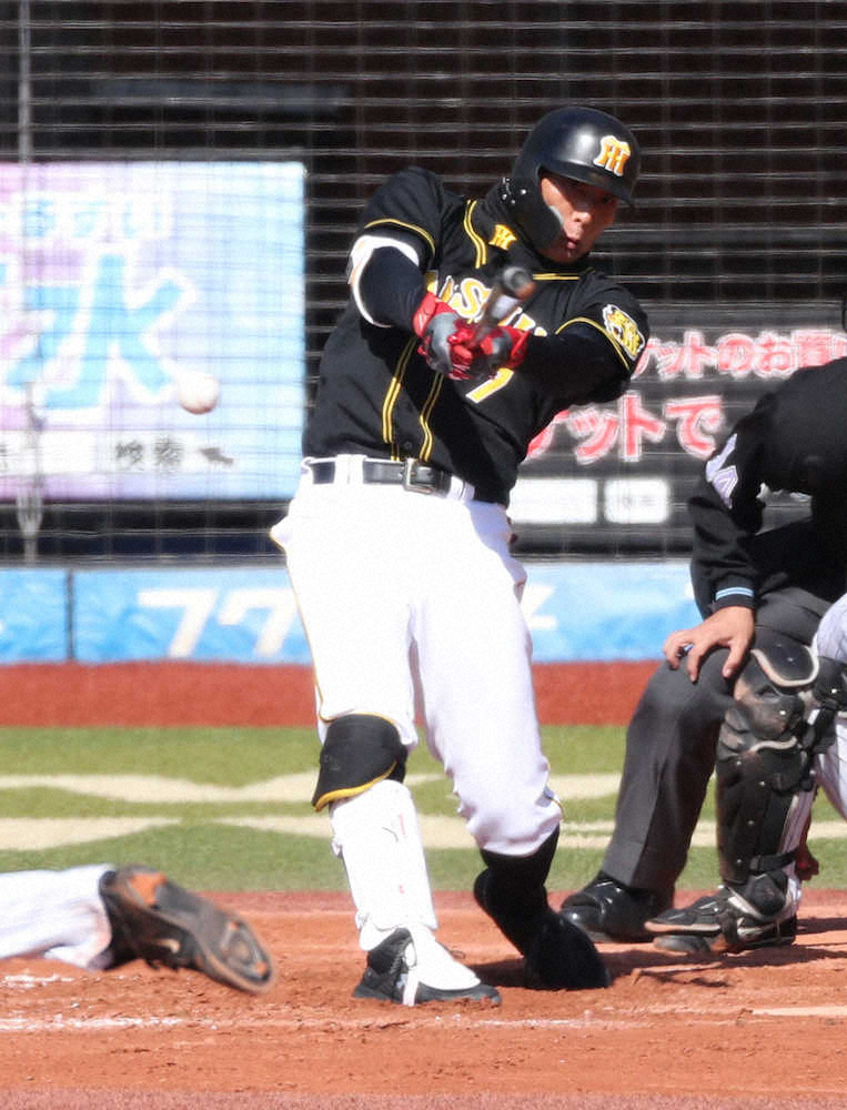 【画像・写真】超人もぞっこん！阪神・糸井　ロッテ・藤原に「すごいな！ファンになったわ！」