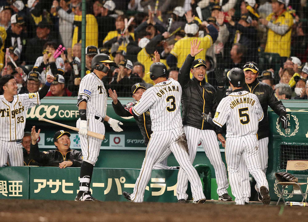 【画像・写真】阪神・矢野監督、甲子園初勝利「忘れられない1勝になりそう」
