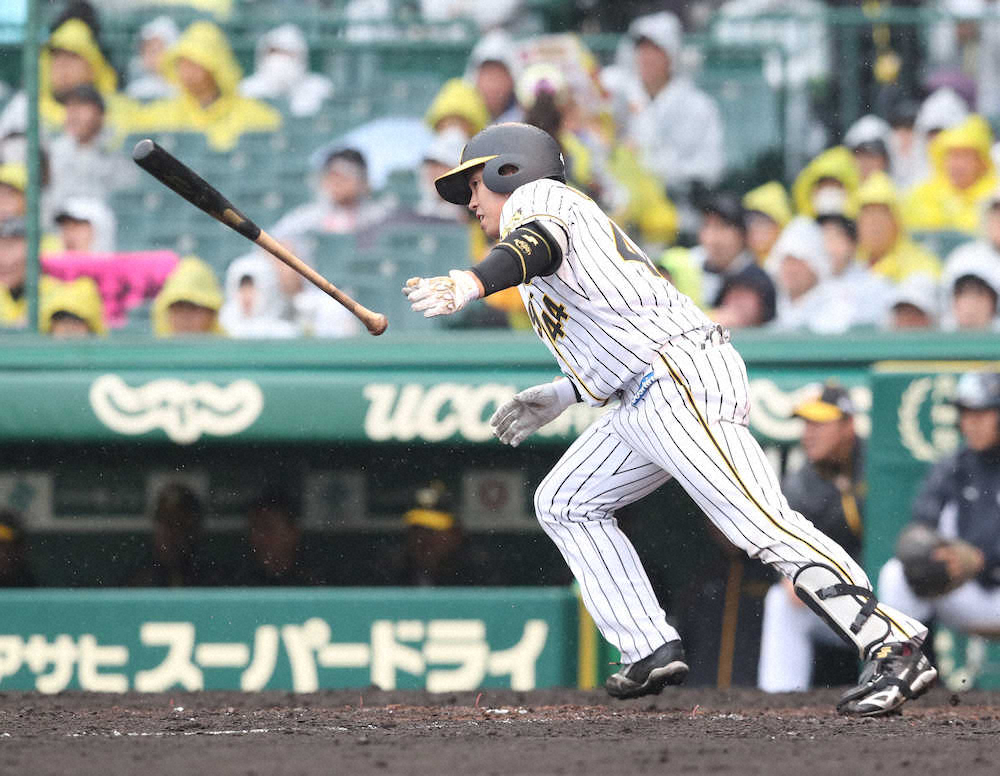 【画像・写真】阪神・梅野が勝ち越し打！サイクル達成後、湿りがちだったバットから快音