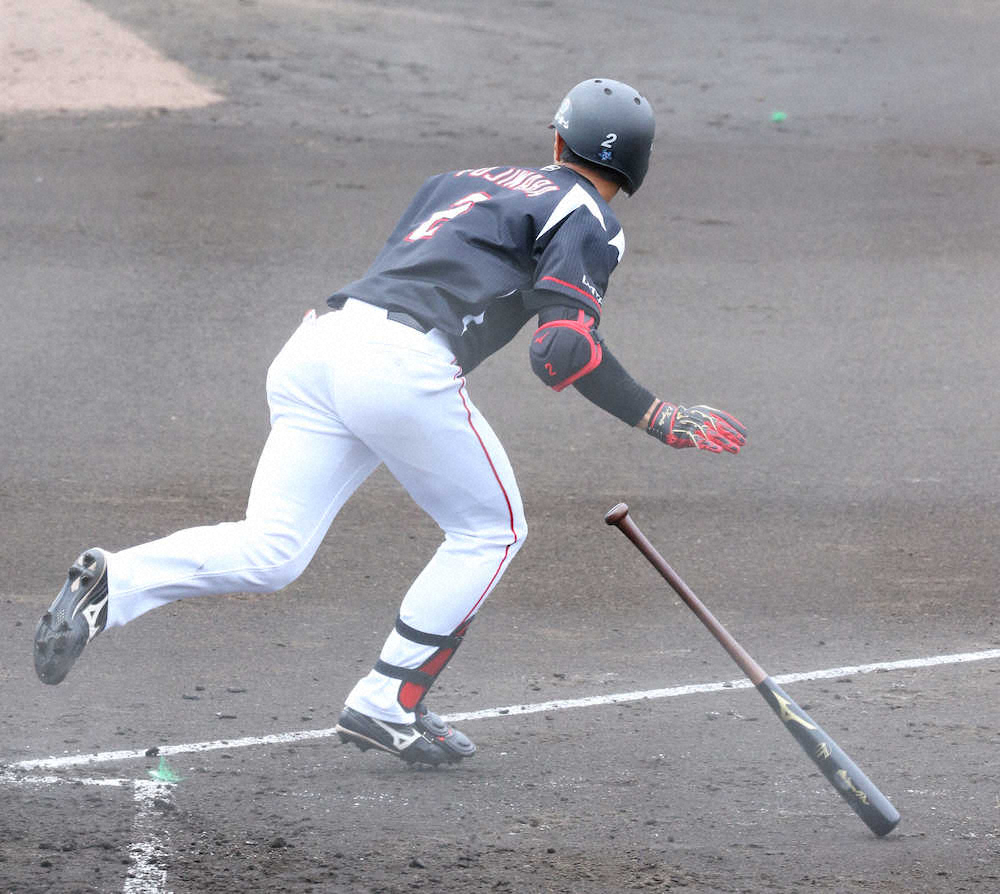 【画像・写真】ロッテ藤原　公式戦初の猛打賞　大阪桐蔭同期打ち「次につながる」