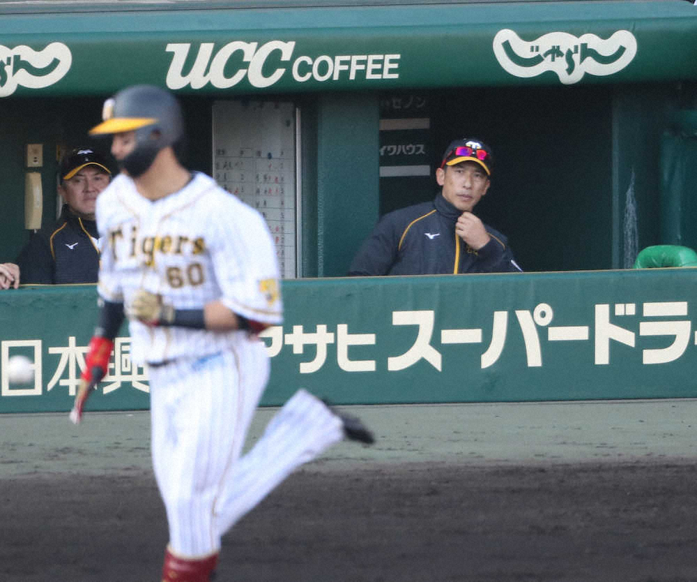 【画像・写真】阪神32年ぶり屈辱…巨人戦開幕5連敗で最下位転落　矢野監督「それは言い訳にならない」