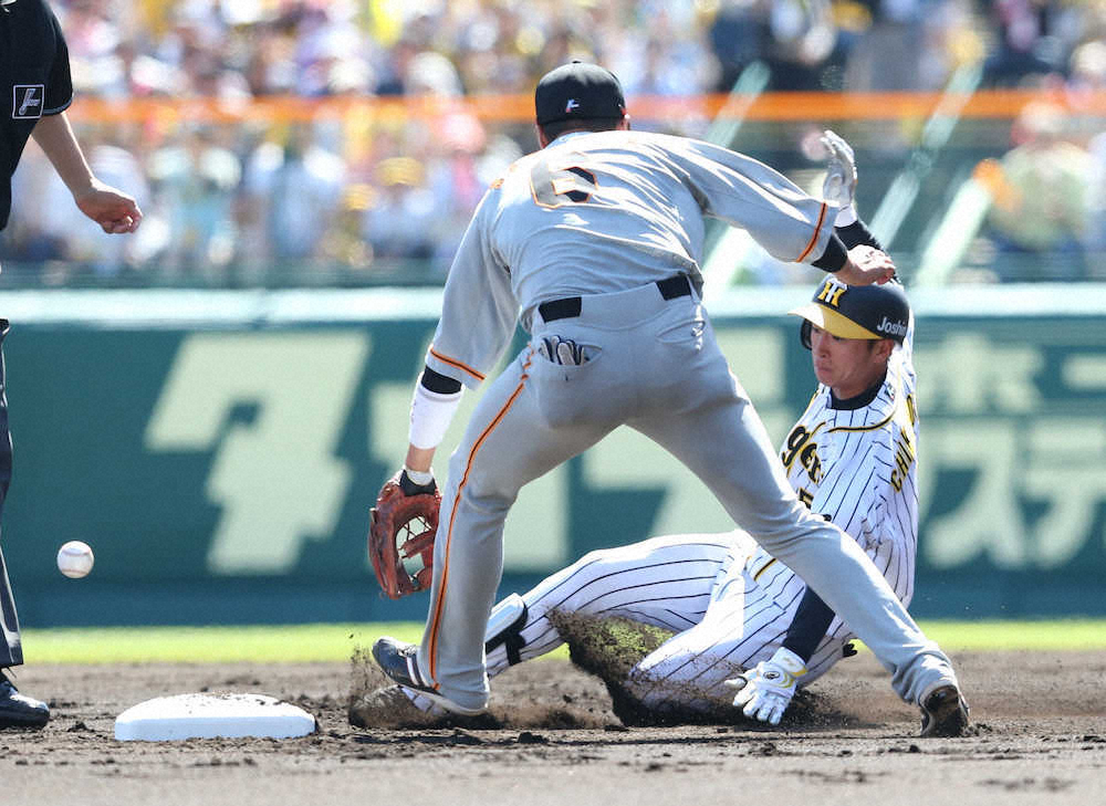 【画像・写真】阪神新人コンビ躍動　近本、走塁でGかく乱　木浪は好守