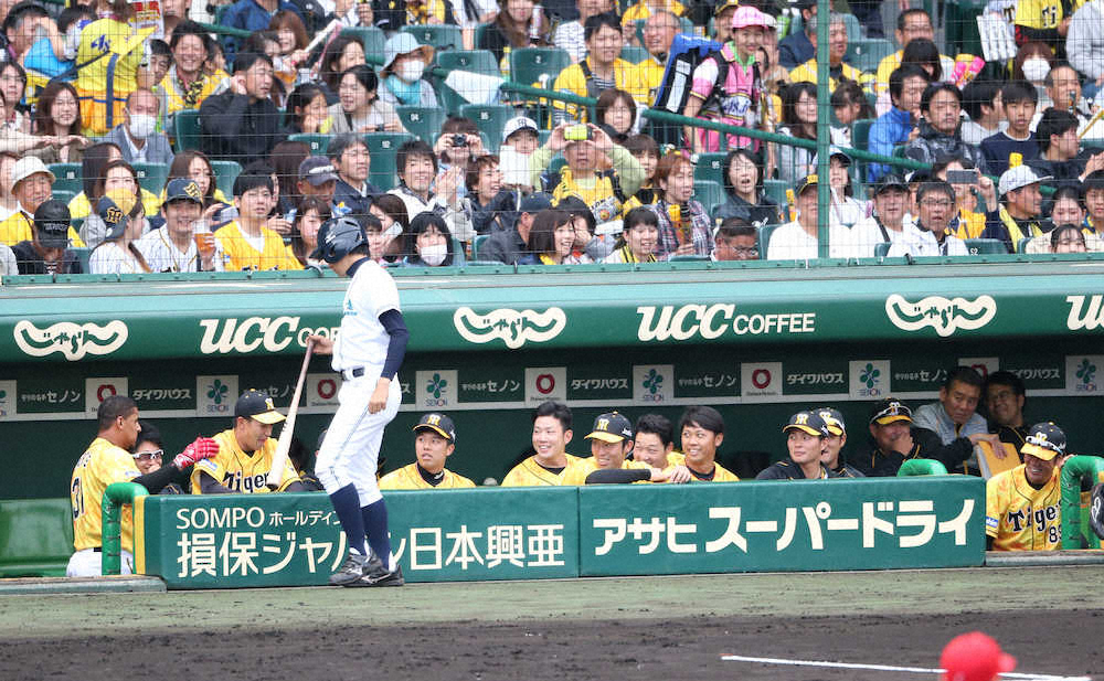 【画像・写真】阪神、令和1号はマルテ来日初アーチ　11打席目の一発に甲子園歓喜！