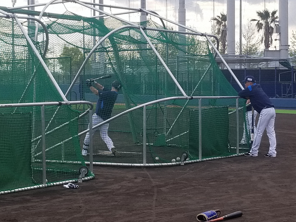 【画像・写真】苦しむ西武・外崎　いずれ花咲き、実がなる「必ずです…！」