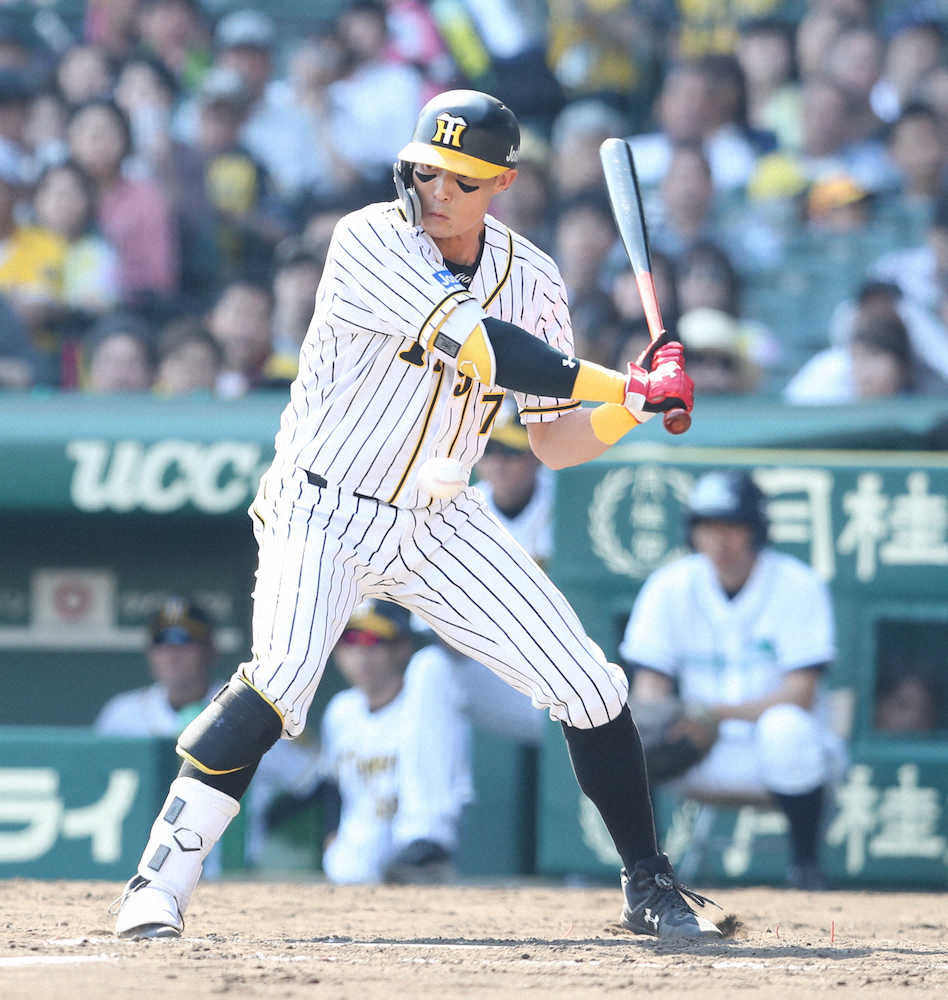 【画像・写真】阪神打線　中日・柳相手に6者連続三振喫した