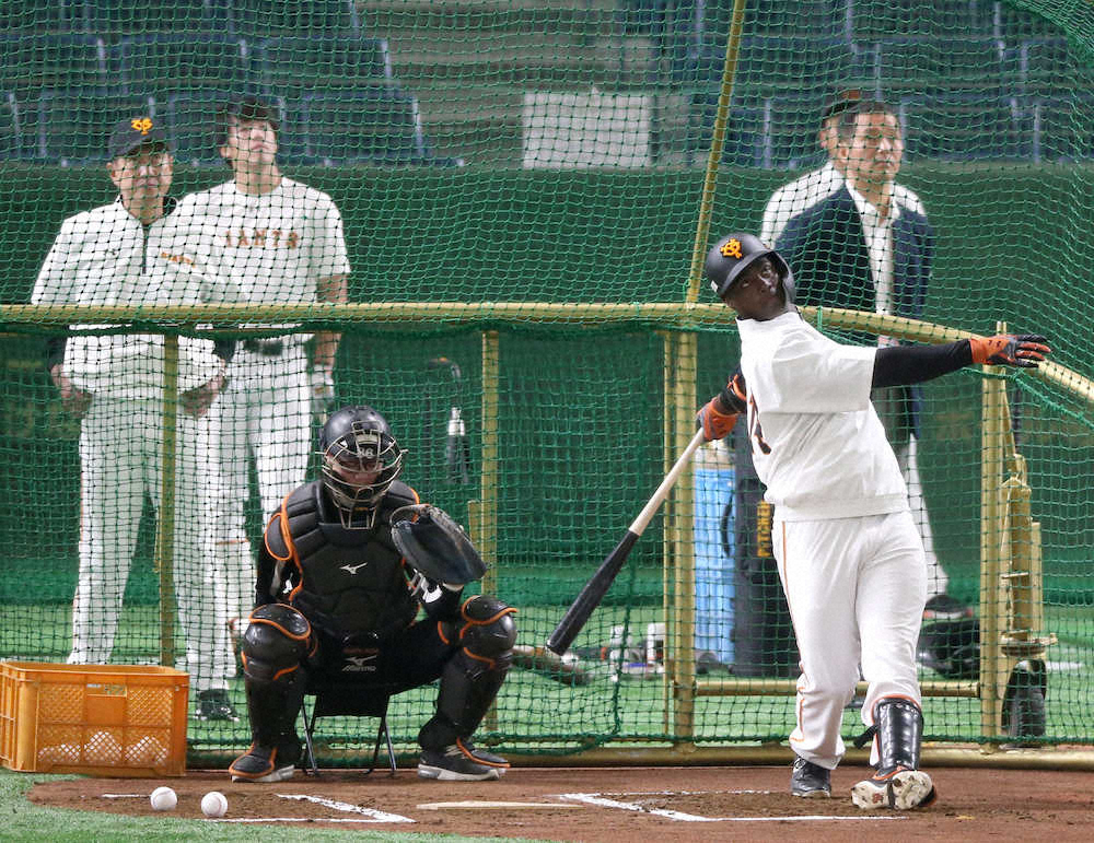 【画像・写真】巨人育成・モタ　東京ドームで柵越え17本！看板直撃弾に1軍選手も驚き