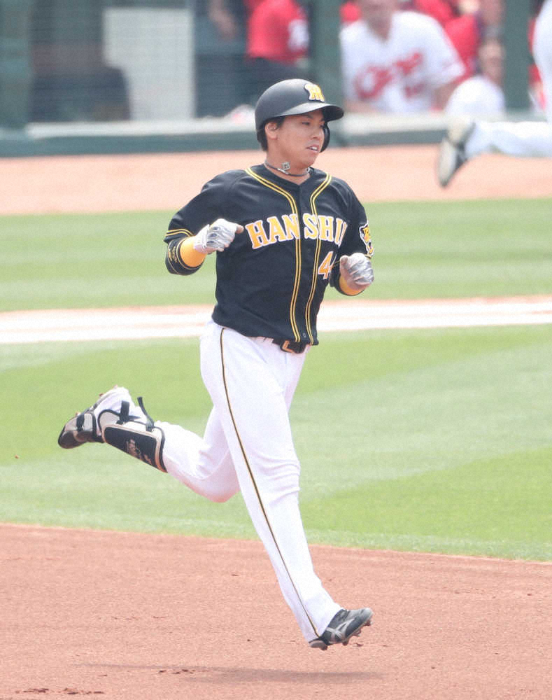 【画像・写真】阪神・梅野“神話弾”！打てば9連勝「次回もそんな感じでいければ」