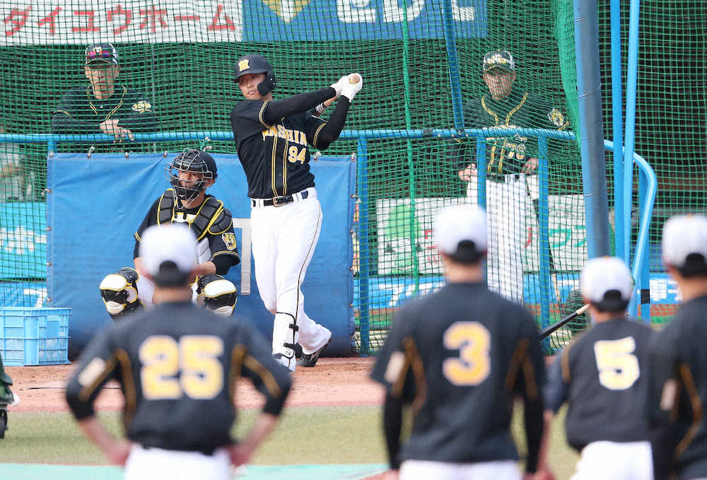 【画像・写真】阪神　大腸がん闘病から復帰の原口はベンチスタート