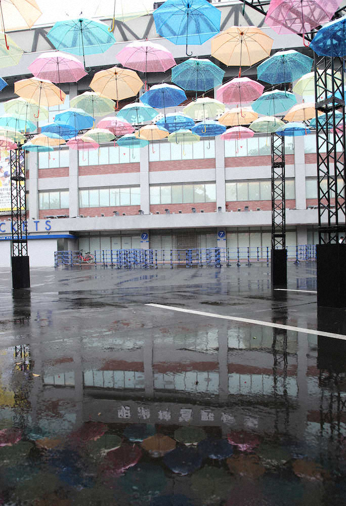 【画像・写真】神宮球場に「インスタ映え」傘アート　関東地方は今日から梅雨入り