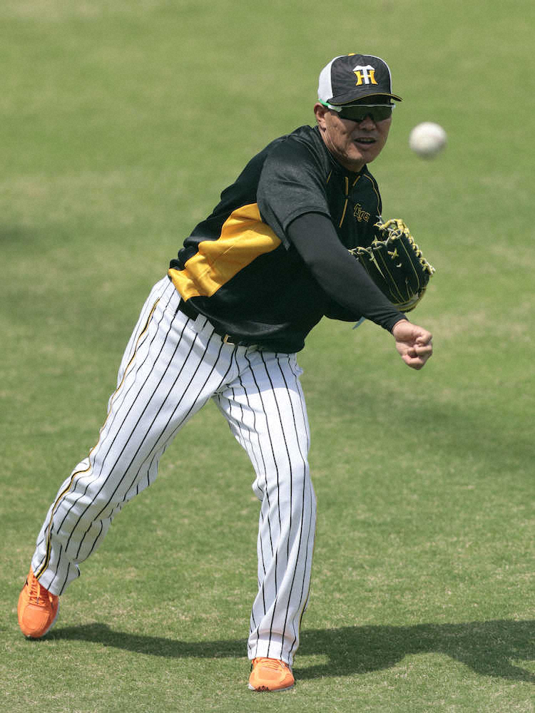 【画像・写真】阪神　福留が2軍戦で実戦復帰　「5番・指名打者」で先発