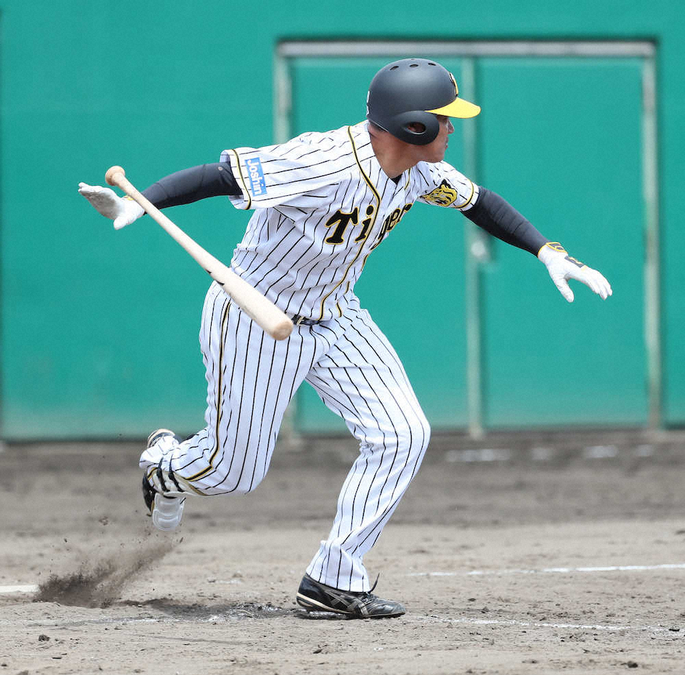 【画像・写真】阪神・福留　2軍戦で実戦復帰　いきなり安打をマーク　1軍復帰へ前進