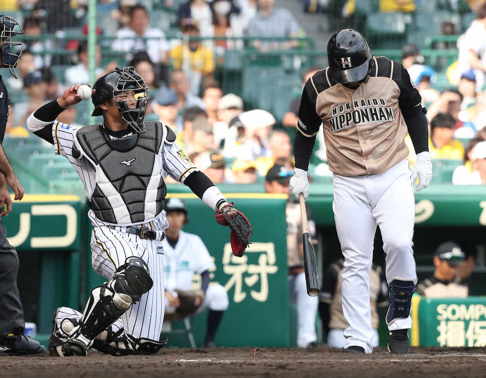 【画像・写真】阪神　10失点で交流戦初の連敗　甲子園のスター清宮、渡辺に主役奪われた