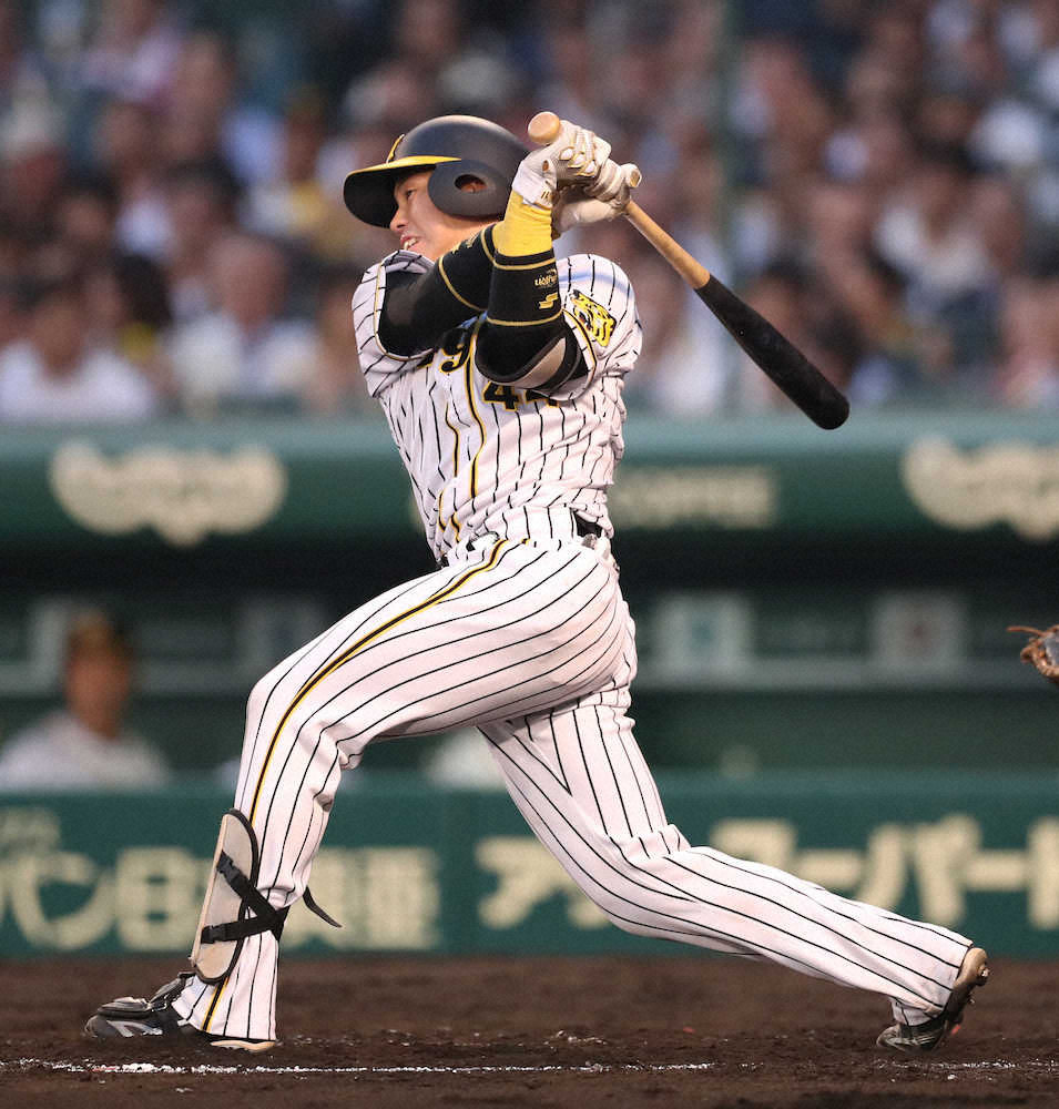 【画像・写真】阪神　梅野の7号ソロで追加点！バックスクリーン左へライナー